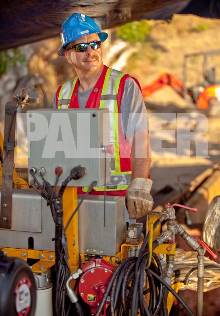 PALMER IMAGE 768x1102