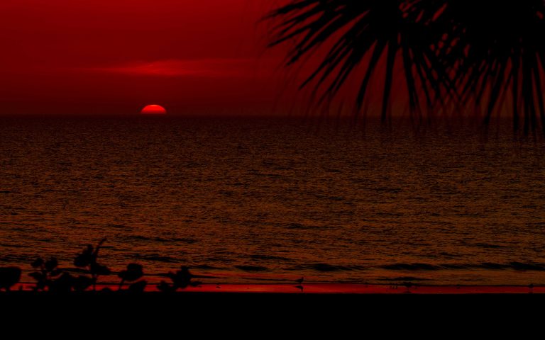 straightenedweb 768x480